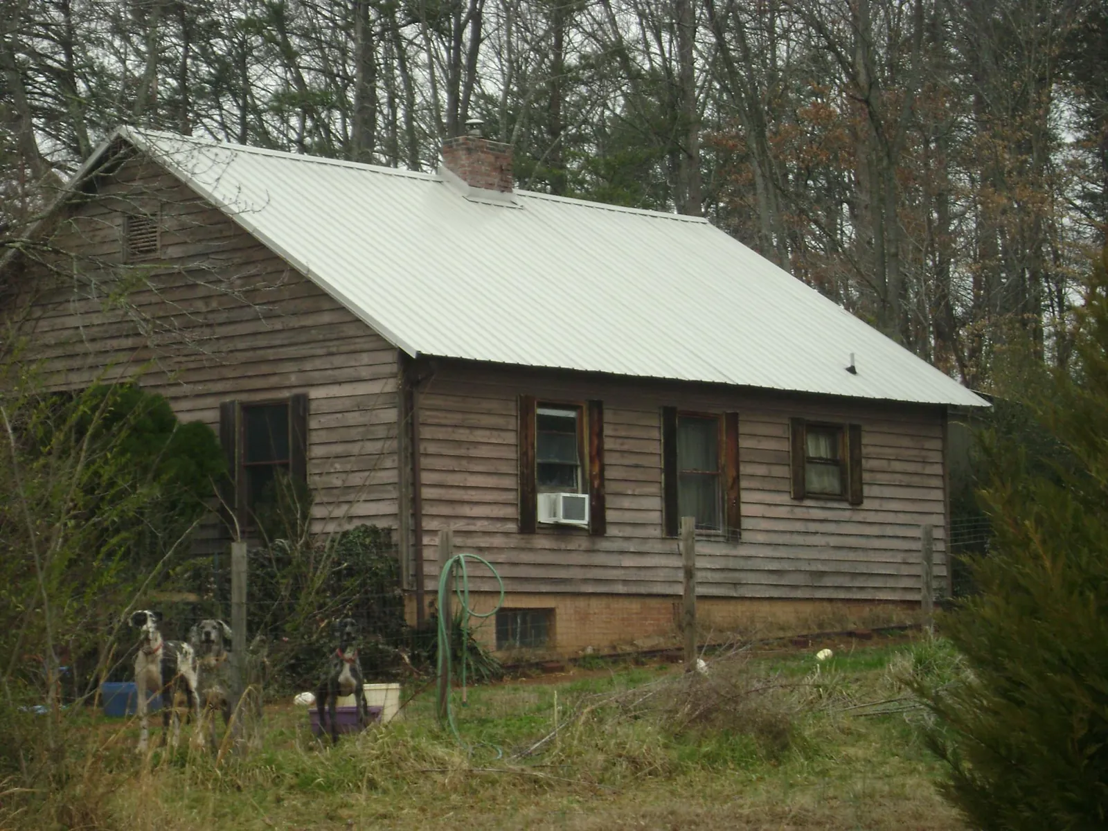 White metal roof on an old wood sided farmhouse, from a Asphalt Shingle Roof Repair job in New Kensington